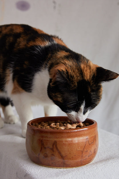 Ceramic Cat Print Bowl