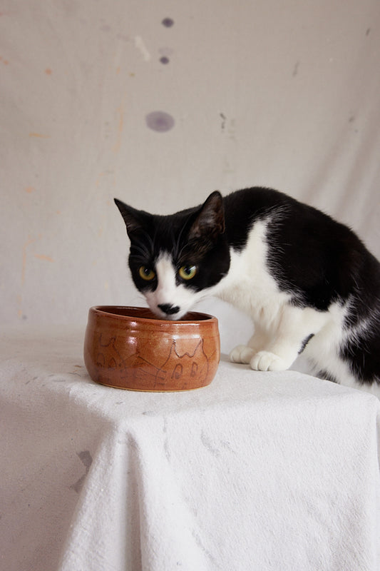 Ceramic Cat Print Bowl