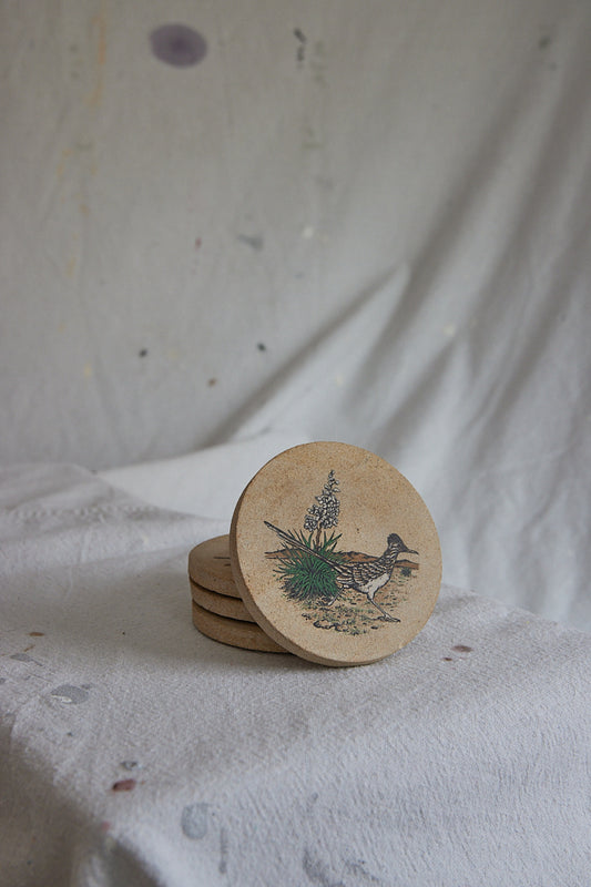 Roadrunner Coasters