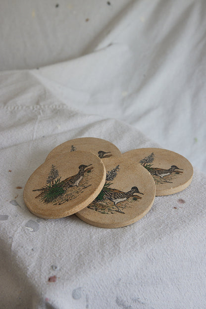 Roadrunner Coasters