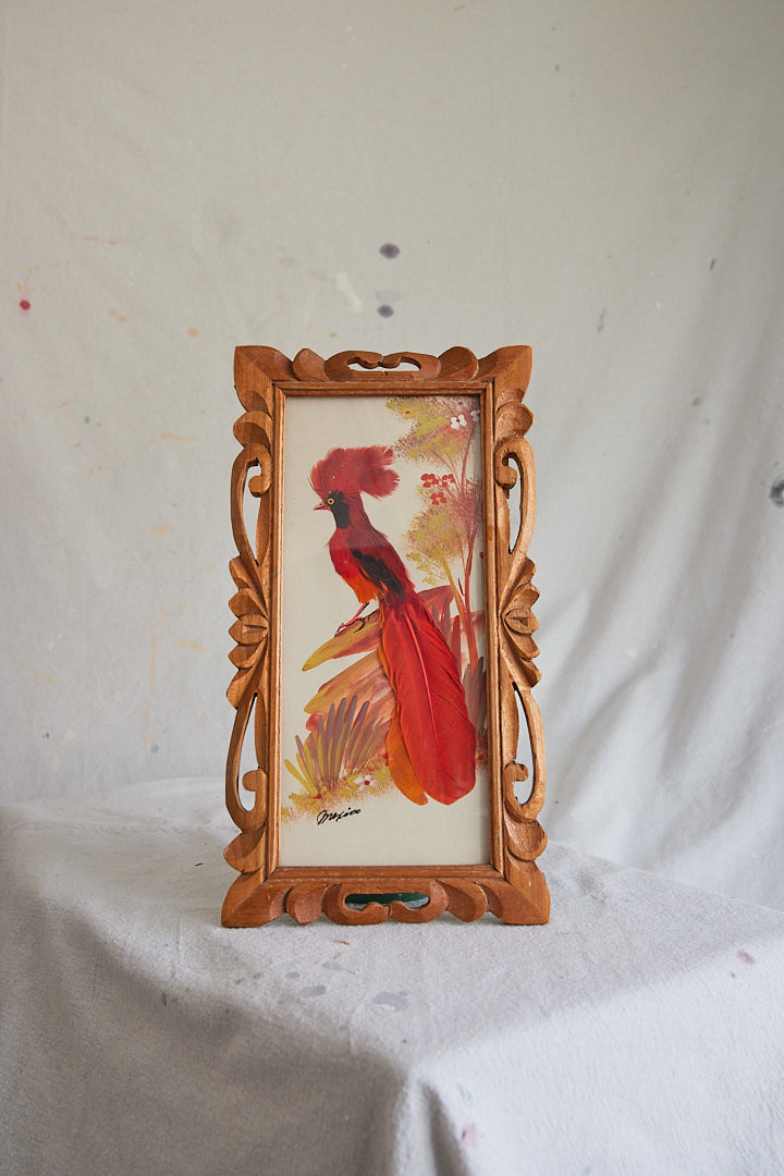 Wood Framed Feather Bird