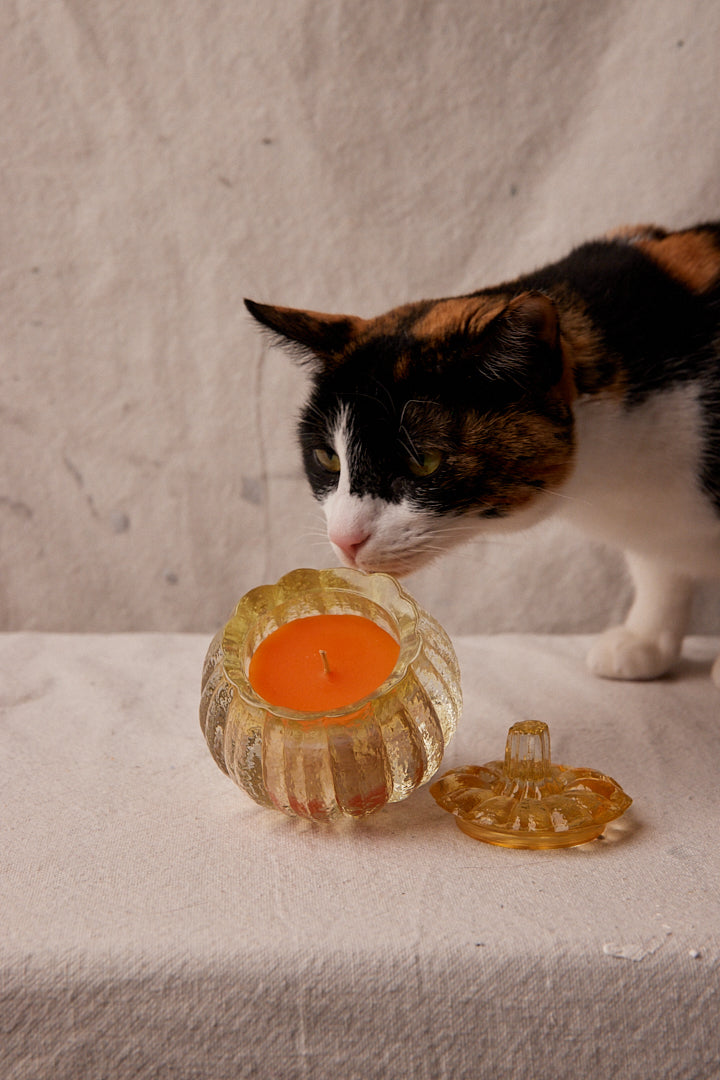 Pumpkin Candle Holder