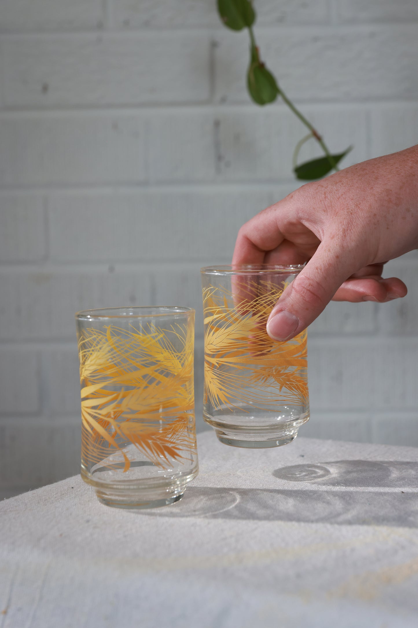 Set of Two Juice Glasses